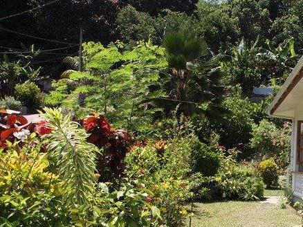 Liane De Mai Bed & Breakfast La Digue Bagian luar foto