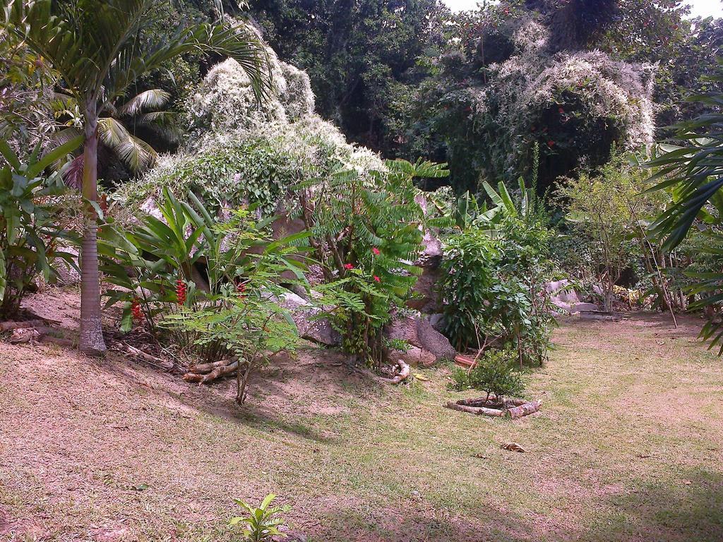 Liane De Mai Bed & Breakfast La Digue Bagian luar foto