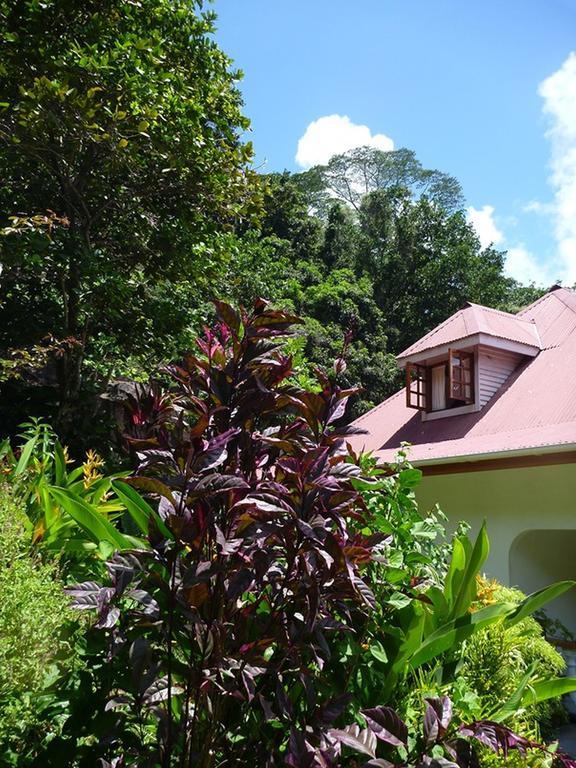 Liane De Mai Bed & Breakfast La Digue Bagian luar foto