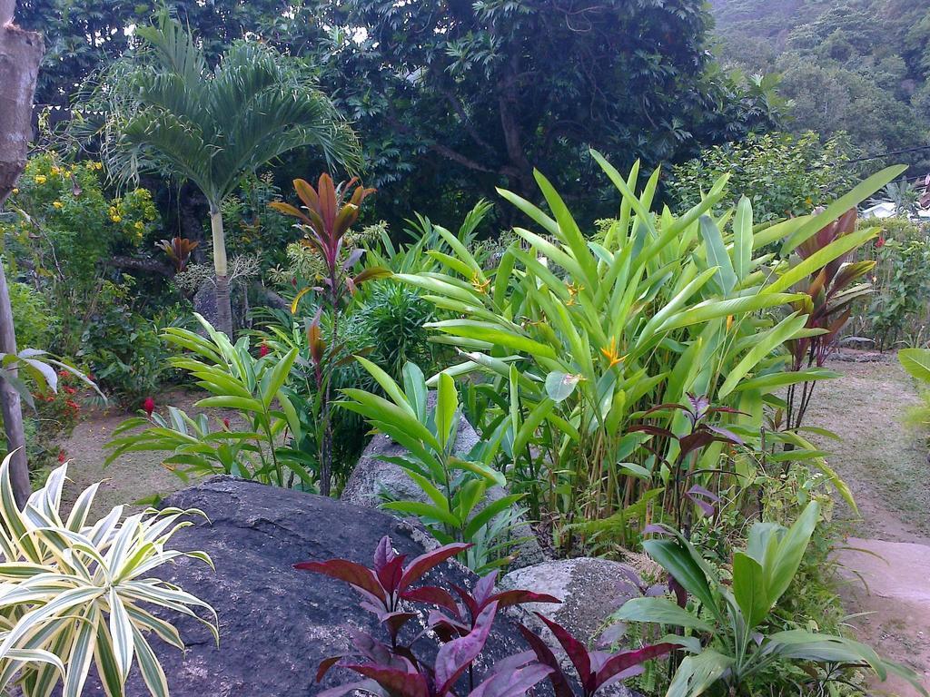 Liane De Mai Bed & Breakfast La Digue Bagian luar foto
